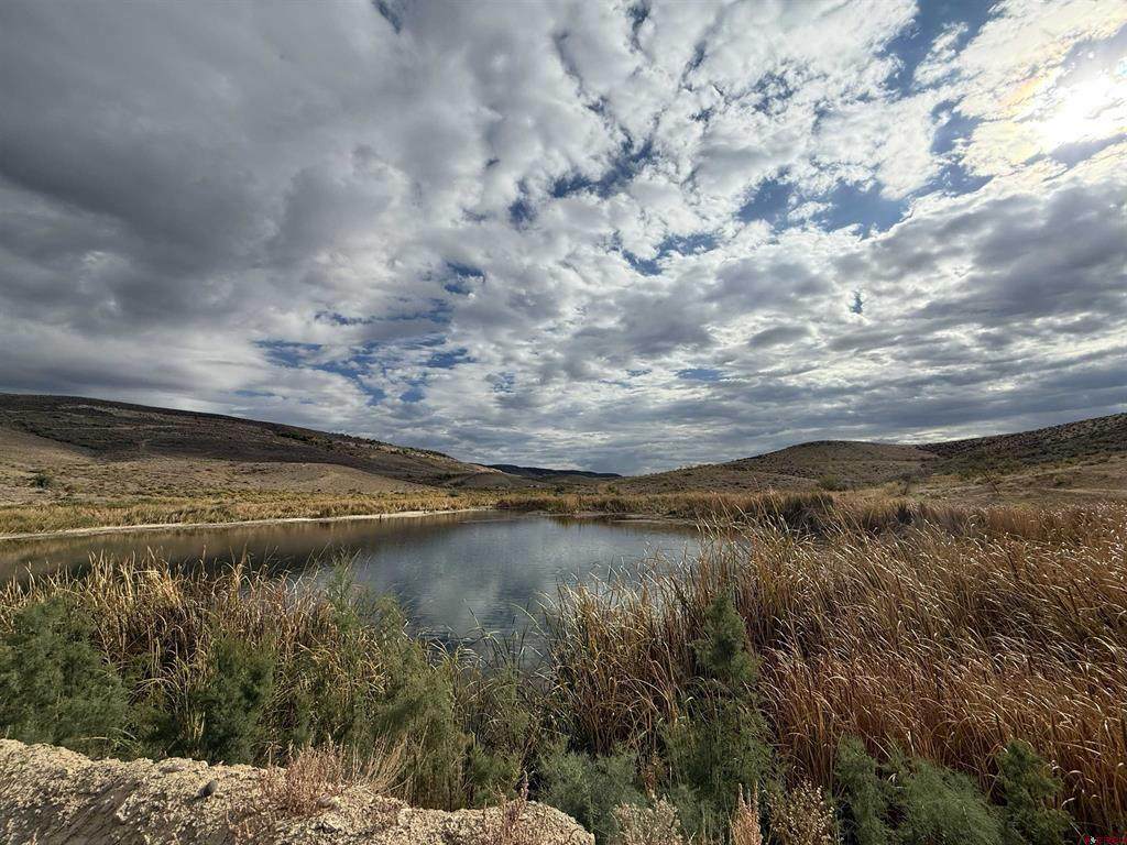 TBD Payne Siding Road - Photo 1