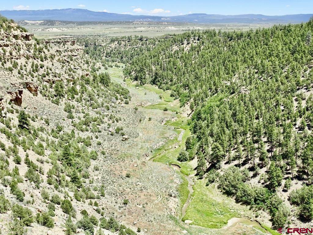 955 County Road 303 Road - Photo 1