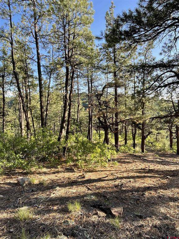 TBW Hwy 160 - Photo 1