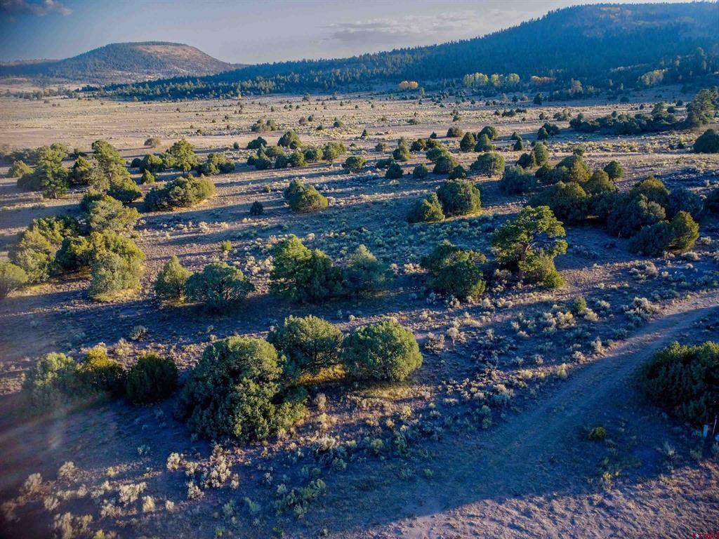 Block 10 Lot 1 Conejos Trails Rd - Photo 1