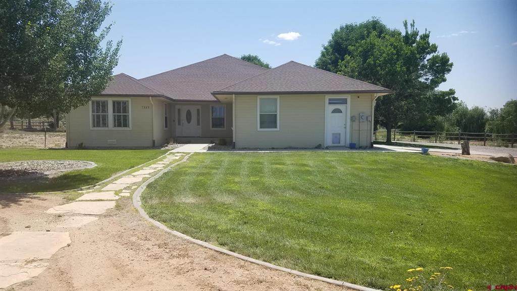 7095 Buena Vista Road - Photo 1