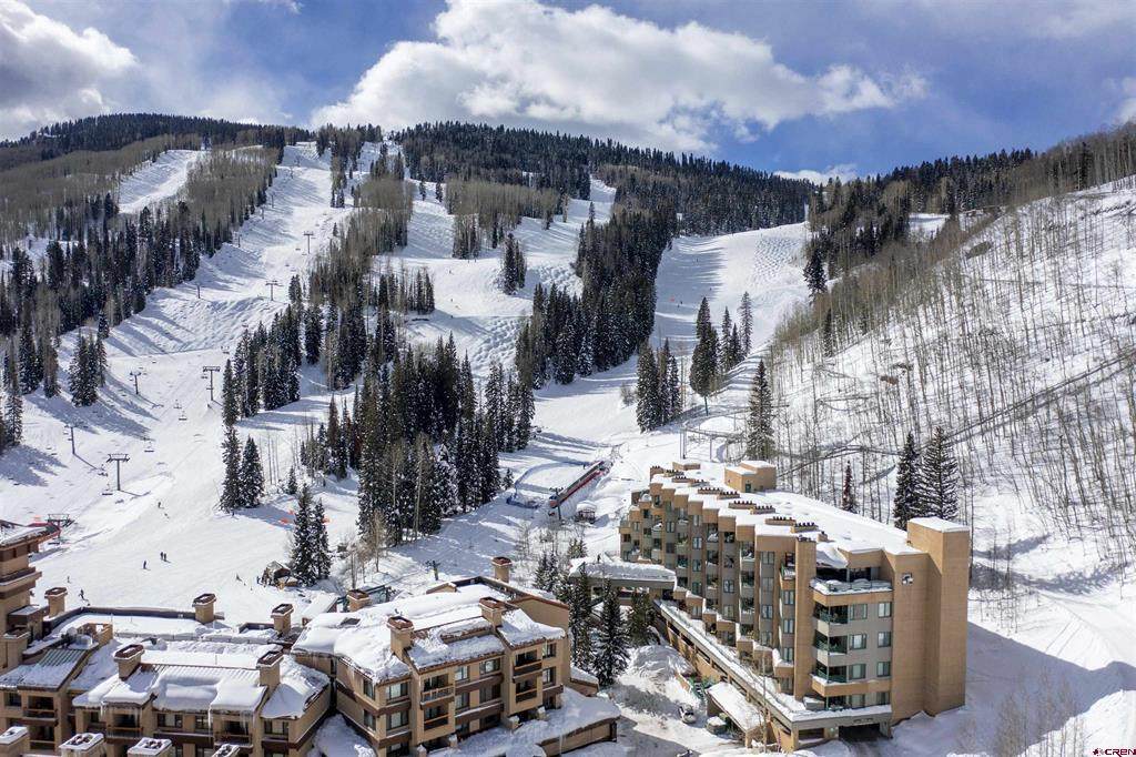 117 Needles Way - Photo 1