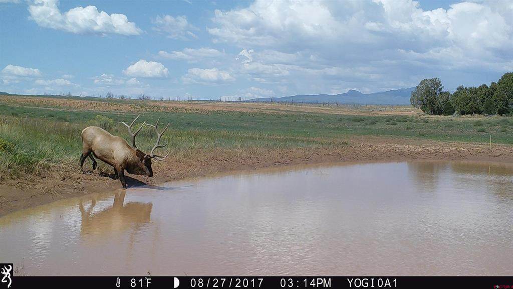 000 Akati Gulch Road - Photo 1