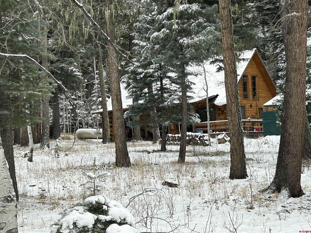 1609 County Road 500 - Photo 1