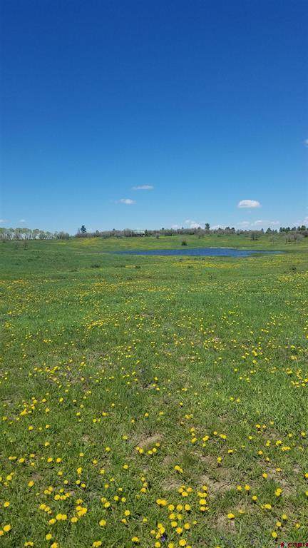 TBD Hanks Valley Road - Photo 1