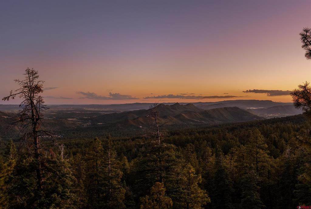 Lot 15 Taylor Ranch Road - Photo 1