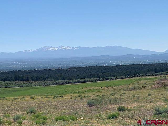 Lot 12 Road 17.9 - Photo 1