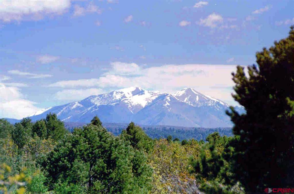 TBD De Oro Way - Photo 1
