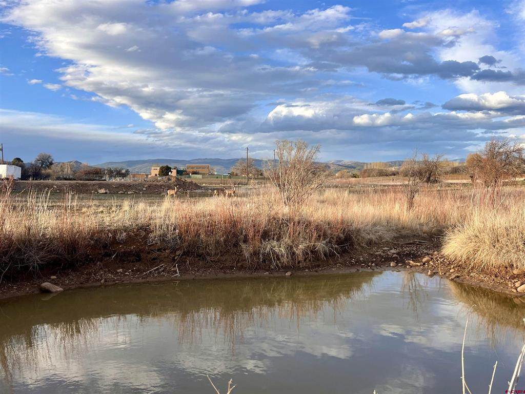 478 Hwy 172 - Photo 1