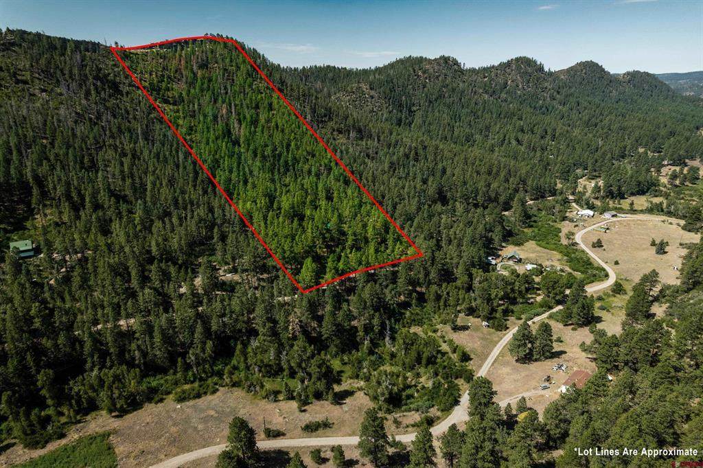 2215 Bear Creek Canyon Road - Photo 1