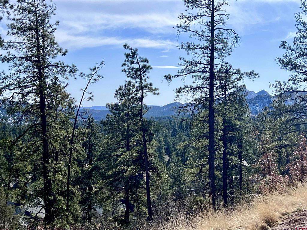 767 Red Canyon Trail - Photo 1