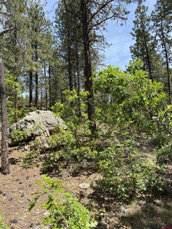 163 Boulder View Drive - Photo 1