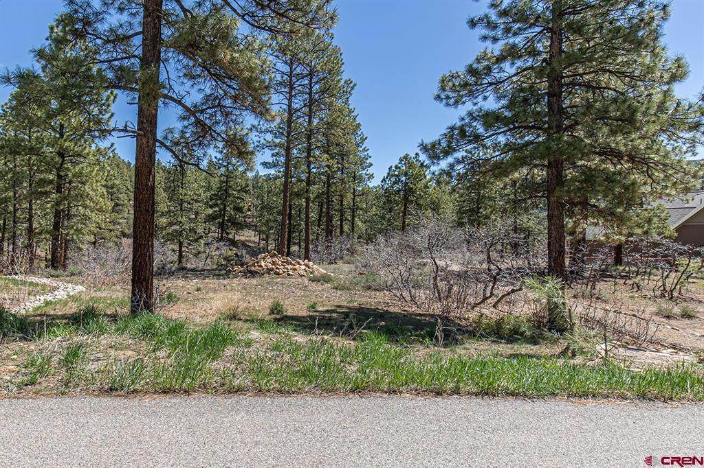 97 Canyon Pines - Photo 1