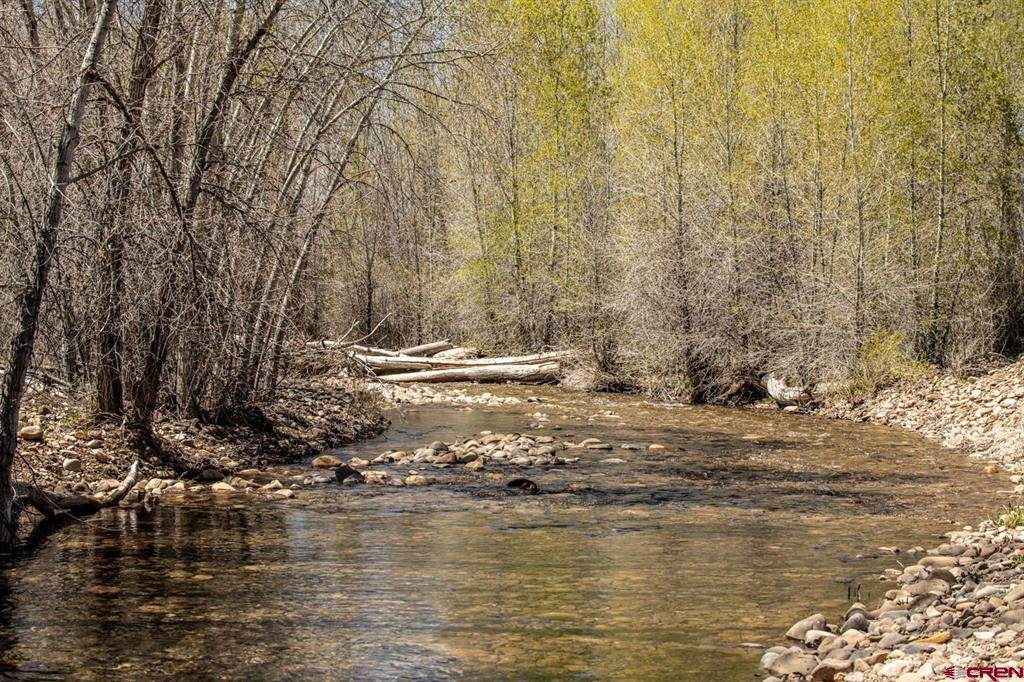TBD County Road 122A - Photo 1