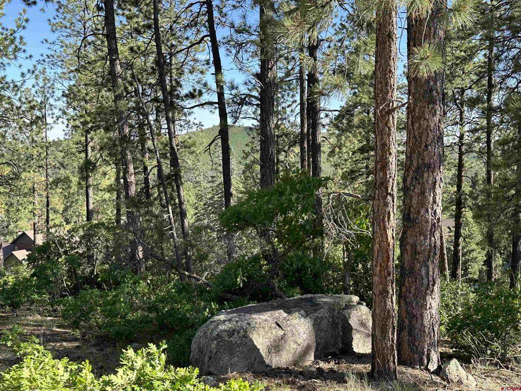72 Cabin Creek Drive - Photo 1
