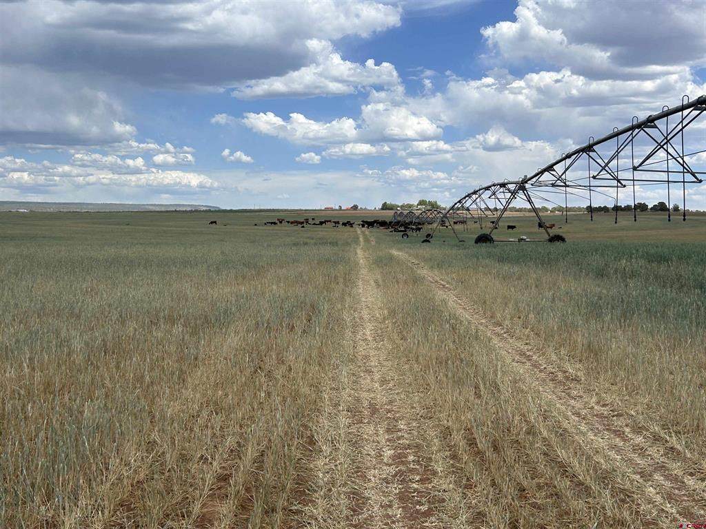 TBD Road 15 - Photo 1