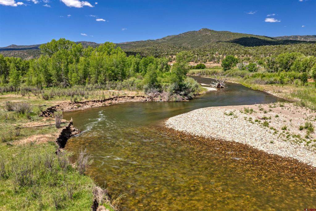 12248 Usfs 613 Road - Photo 1