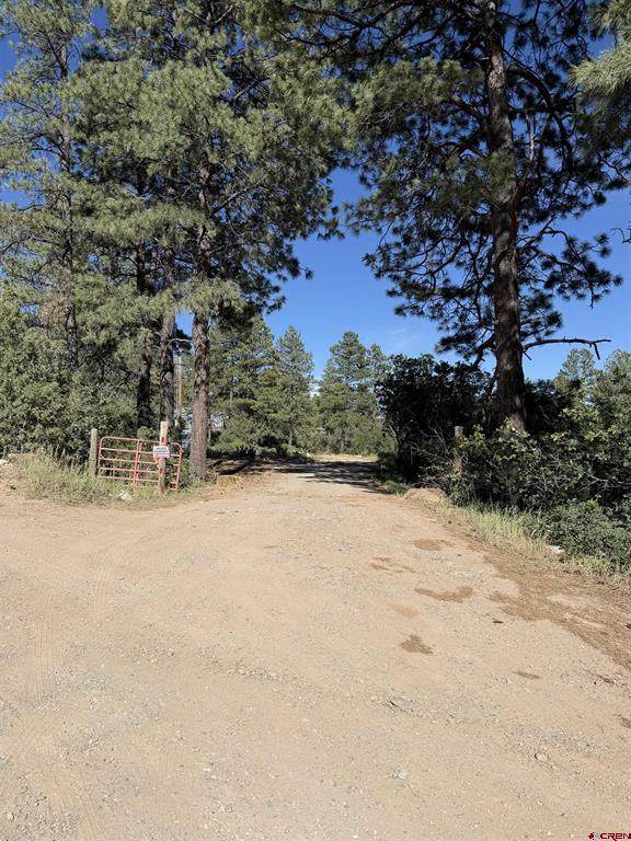 950 Deer Trial Road - Photo 1