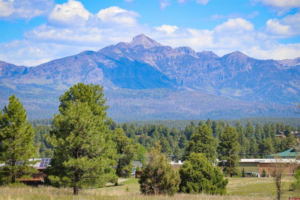 1362 Cool Pines Drive - Photo 1