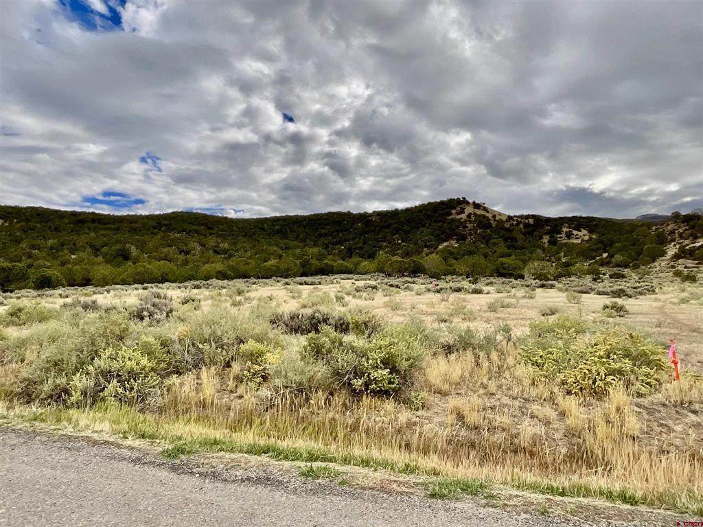TBD LOT 22 7250 Road - Photo 1