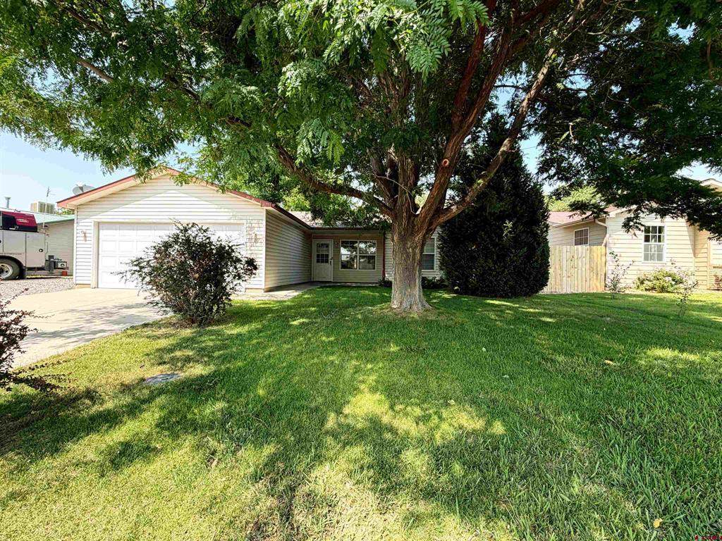 1909 Ouray Drive - Photo 1
