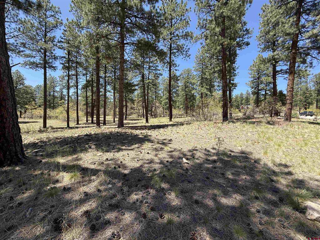TBD Ventana Pass - Photo 1