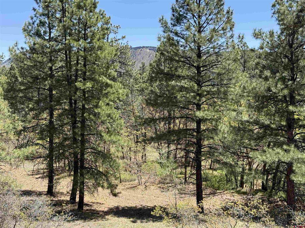 TBD Ventana Pass - Photo 1