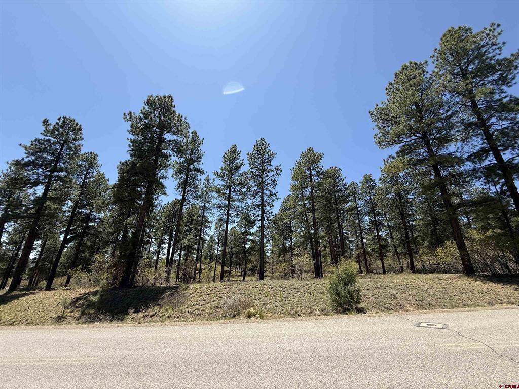 TBD Edgemont Highlands Drive - Photo 1