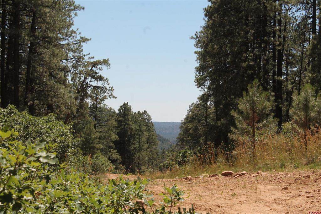 190 Jackalope Drive - Photo 1