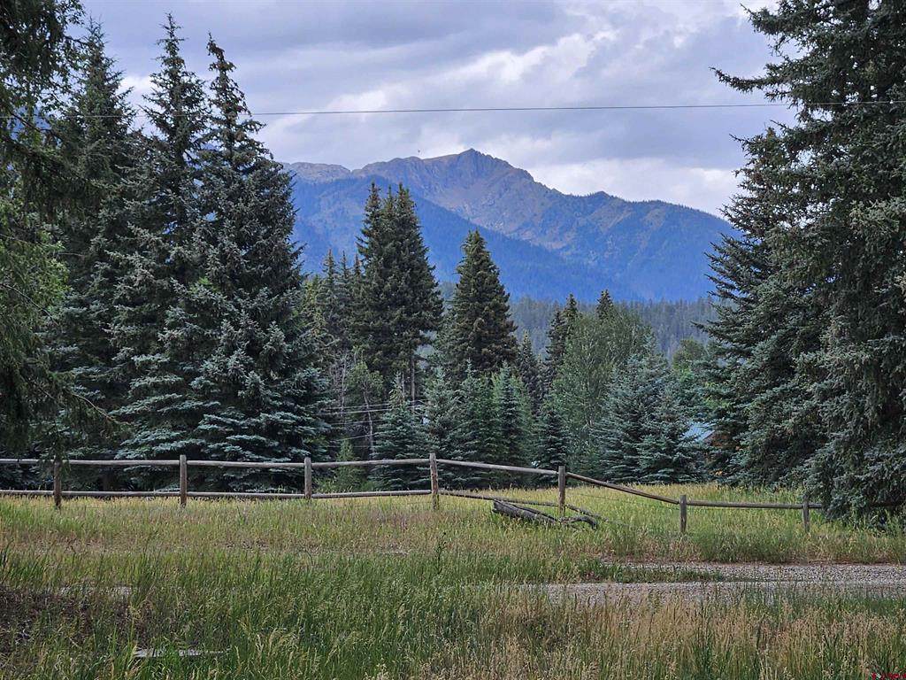 1229 Vallecito Creek Road - Photo 1