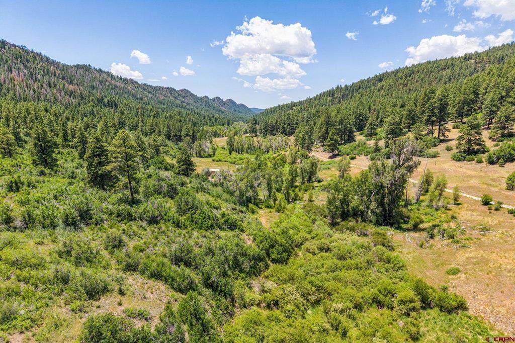 3230 Bear Creek Road - Photo 1