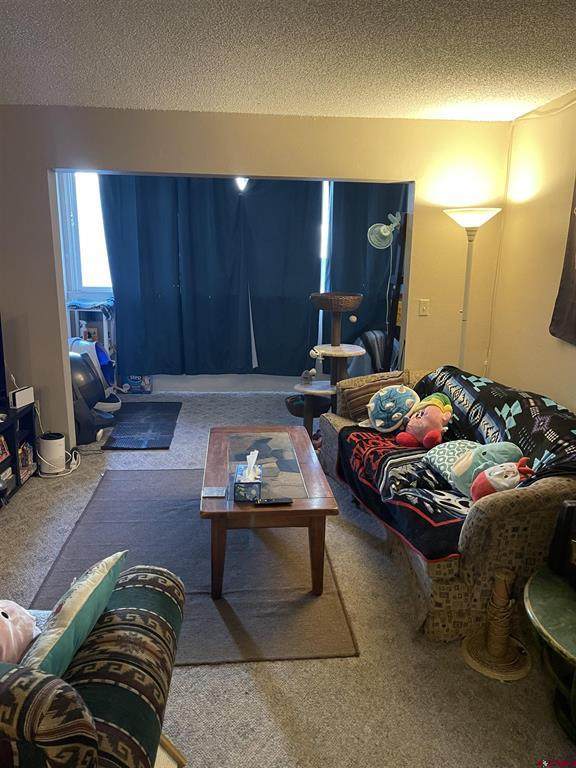 1135 Florida Road - Photo 1