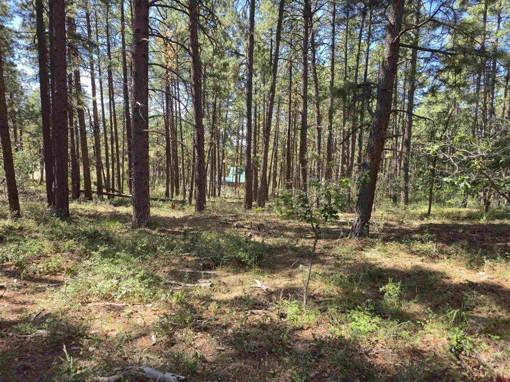 256 and 194 Blue Ridge Drive - Photo 1