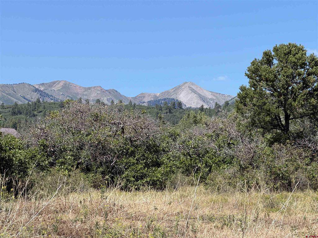 TBD Roberts Ridge Road - Photo 1