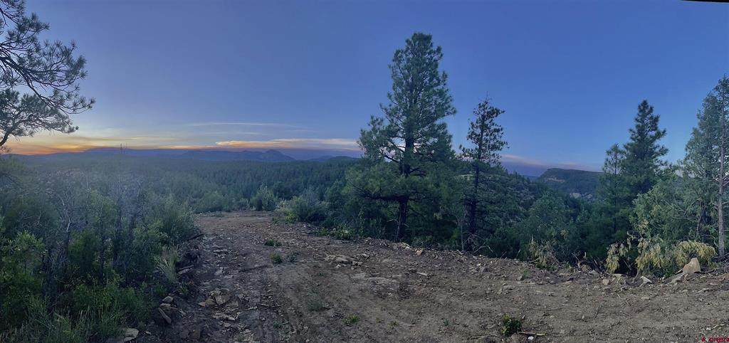 17235 Us Hwy 160 - Photo 1