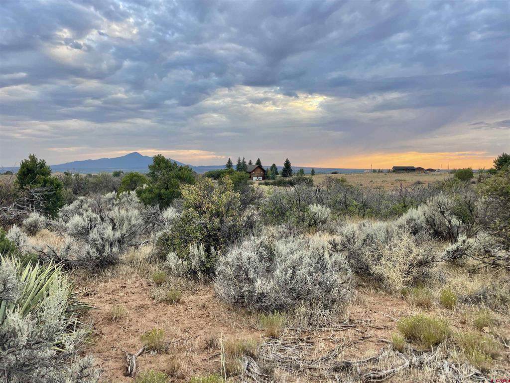 TBD Lot 12 Road 26.4 - Photo 1