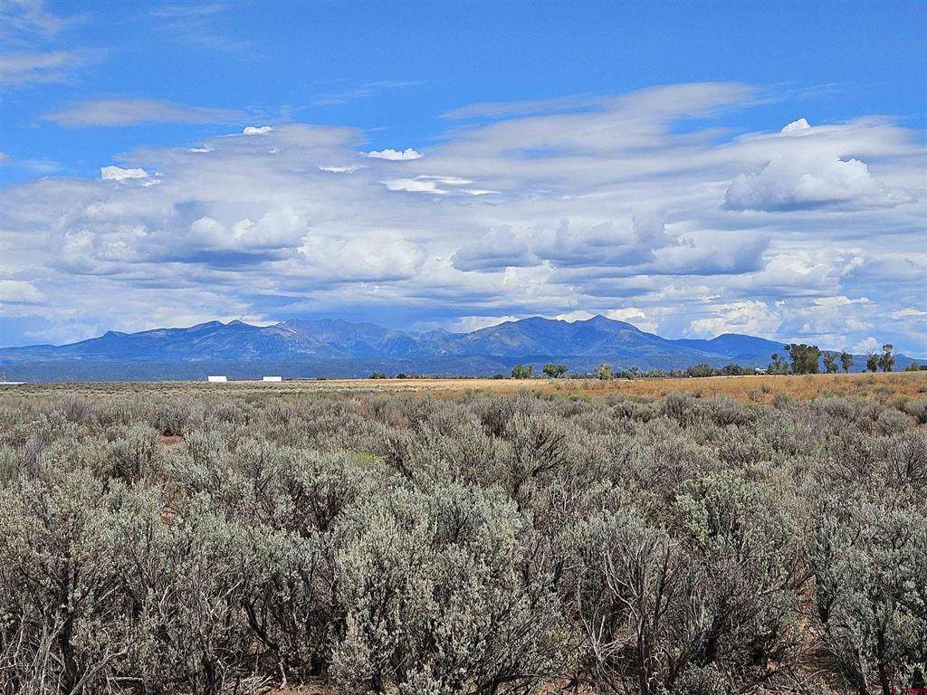 TBD County Road 130 - Photo 1