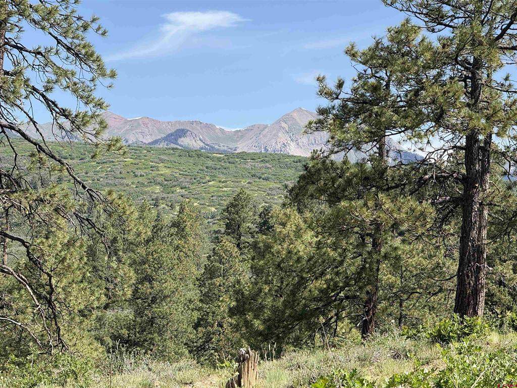 1649 Sheep Springs Road - Photo 1