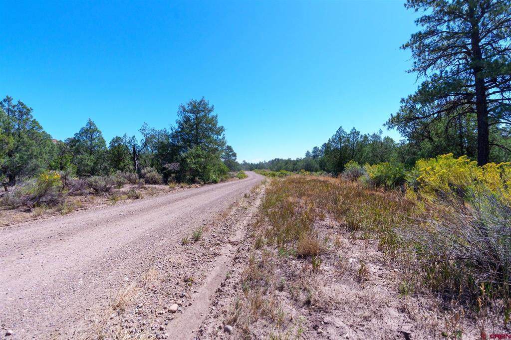 TBD Budd Road - Photo 1