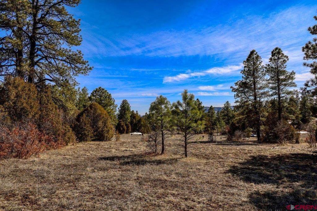 829 Buttress Avenue - Photo 1