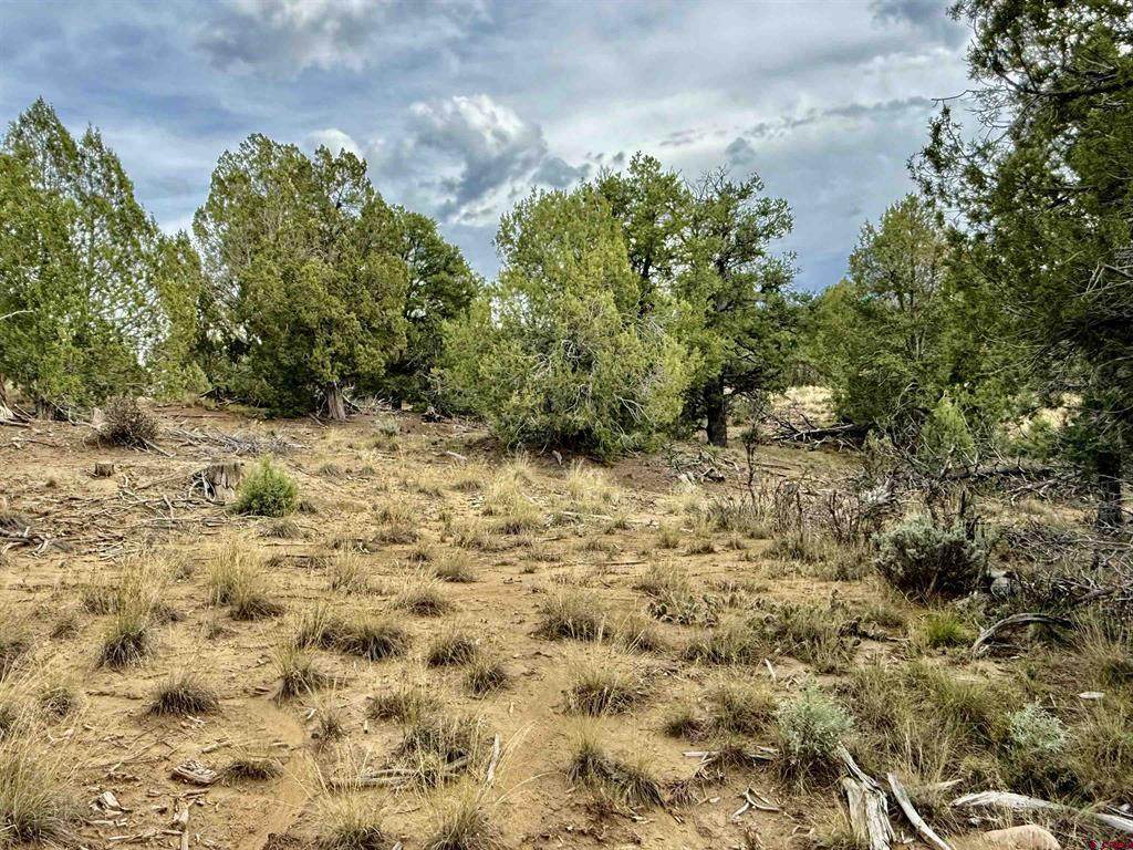 https://bt-photos.global.ssl.fastly.net/cren/orig_boomver_1_839345-2.jpg