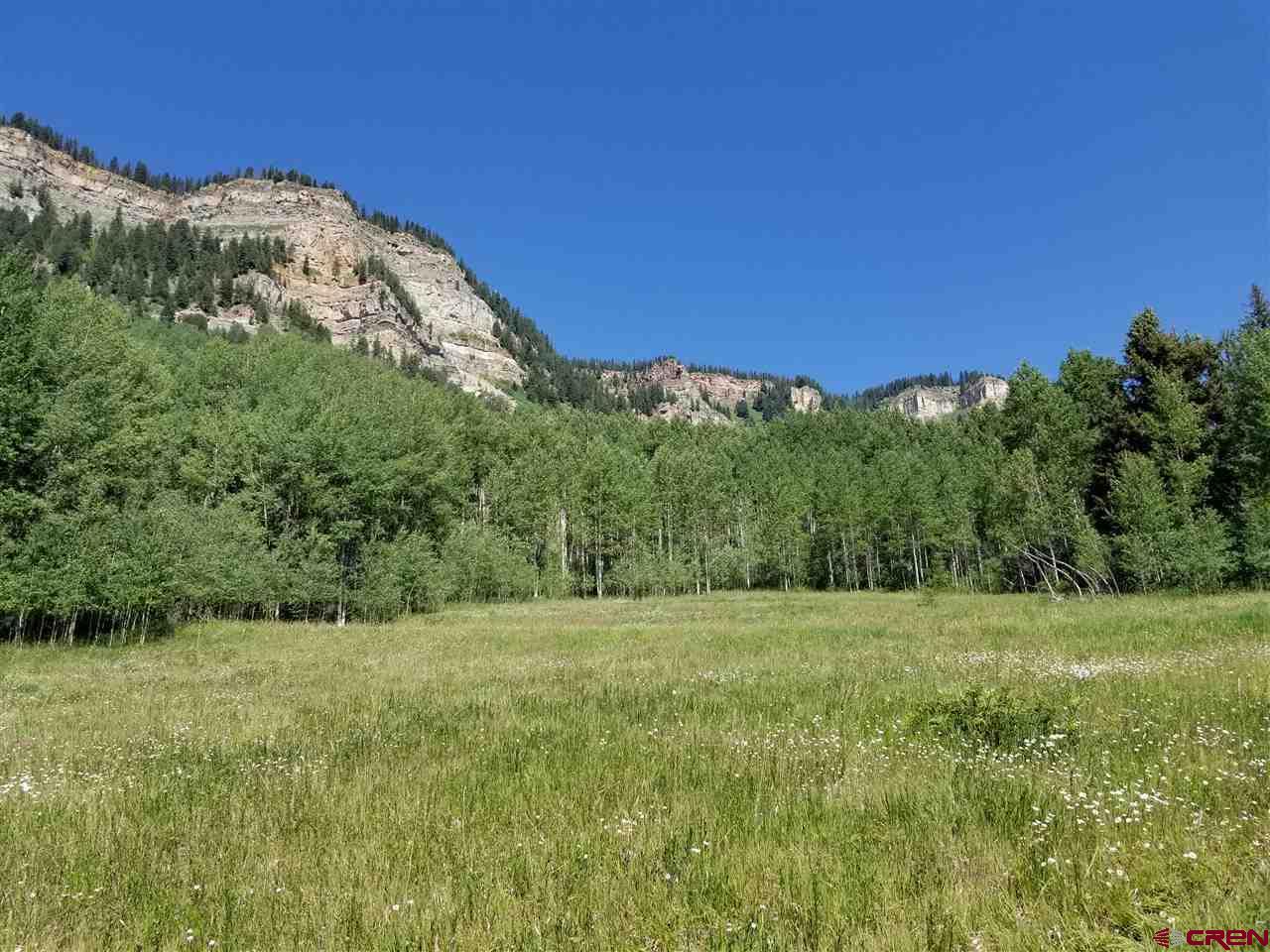 TBD Hwy 550 - Photo 1