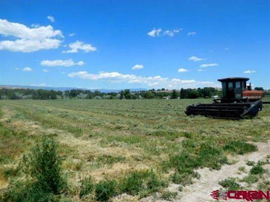 19153 Homestead Road - Photo 1