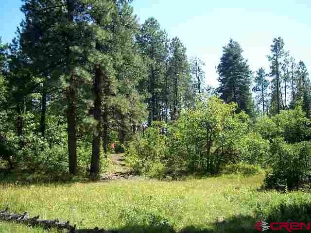 lot 12 Turkey Meadow Rd - Photo 1