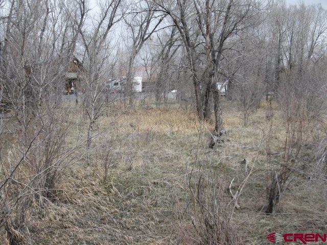 185 Ute Trail - Photo 1