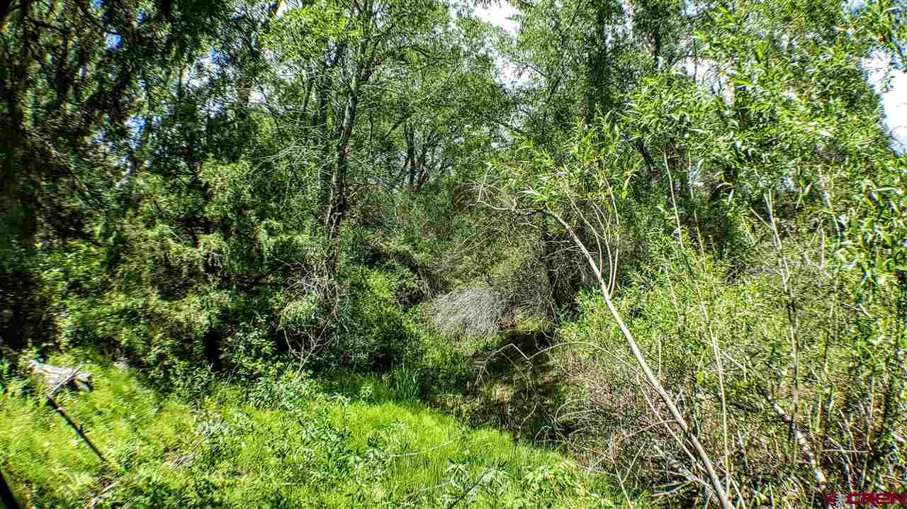 128 Ute Trail - Photo 1
