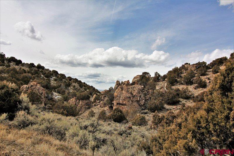 tbd County Road 53 - Photo 1