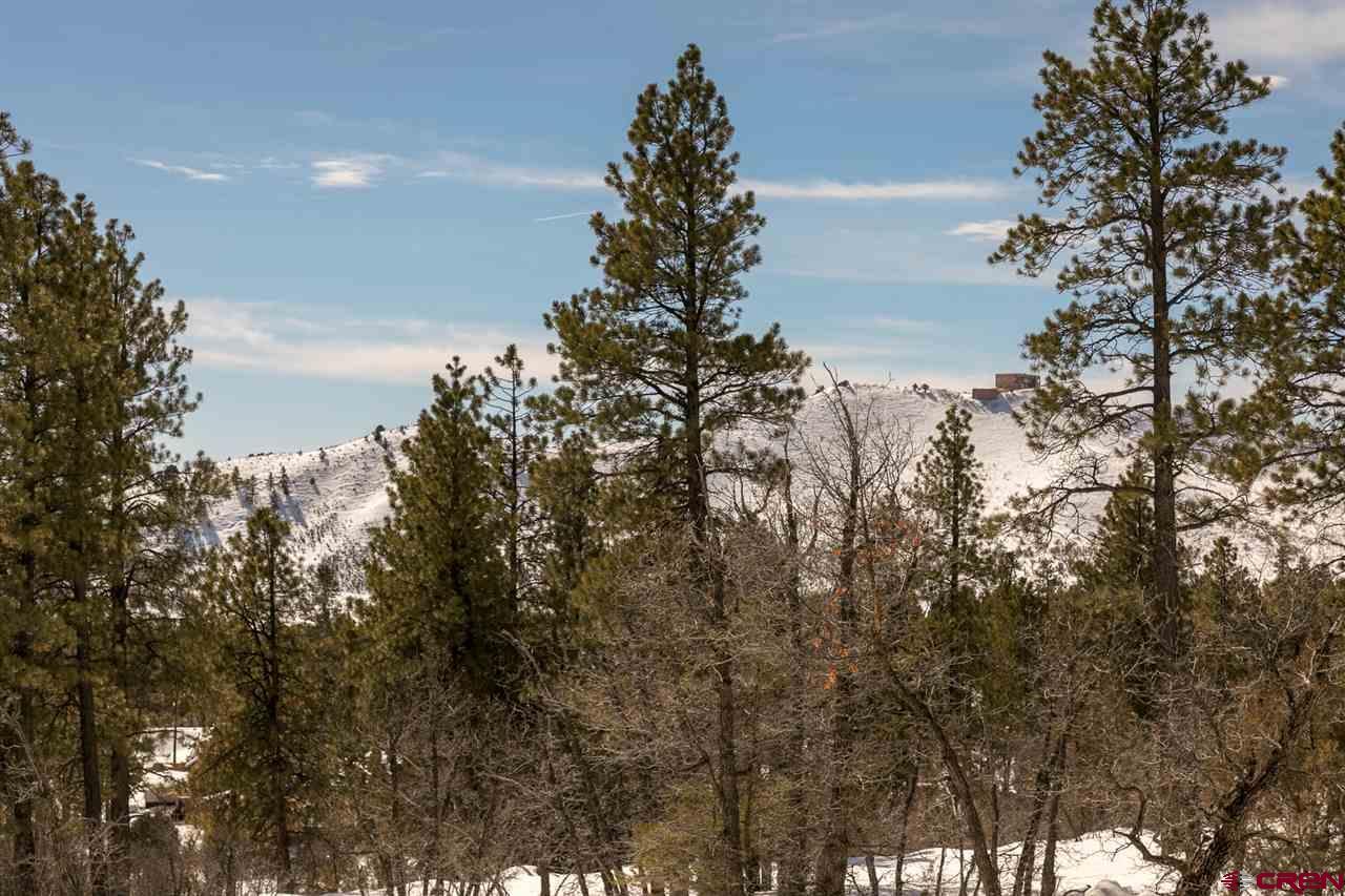 10 Boulder View Drive - Photo 1
