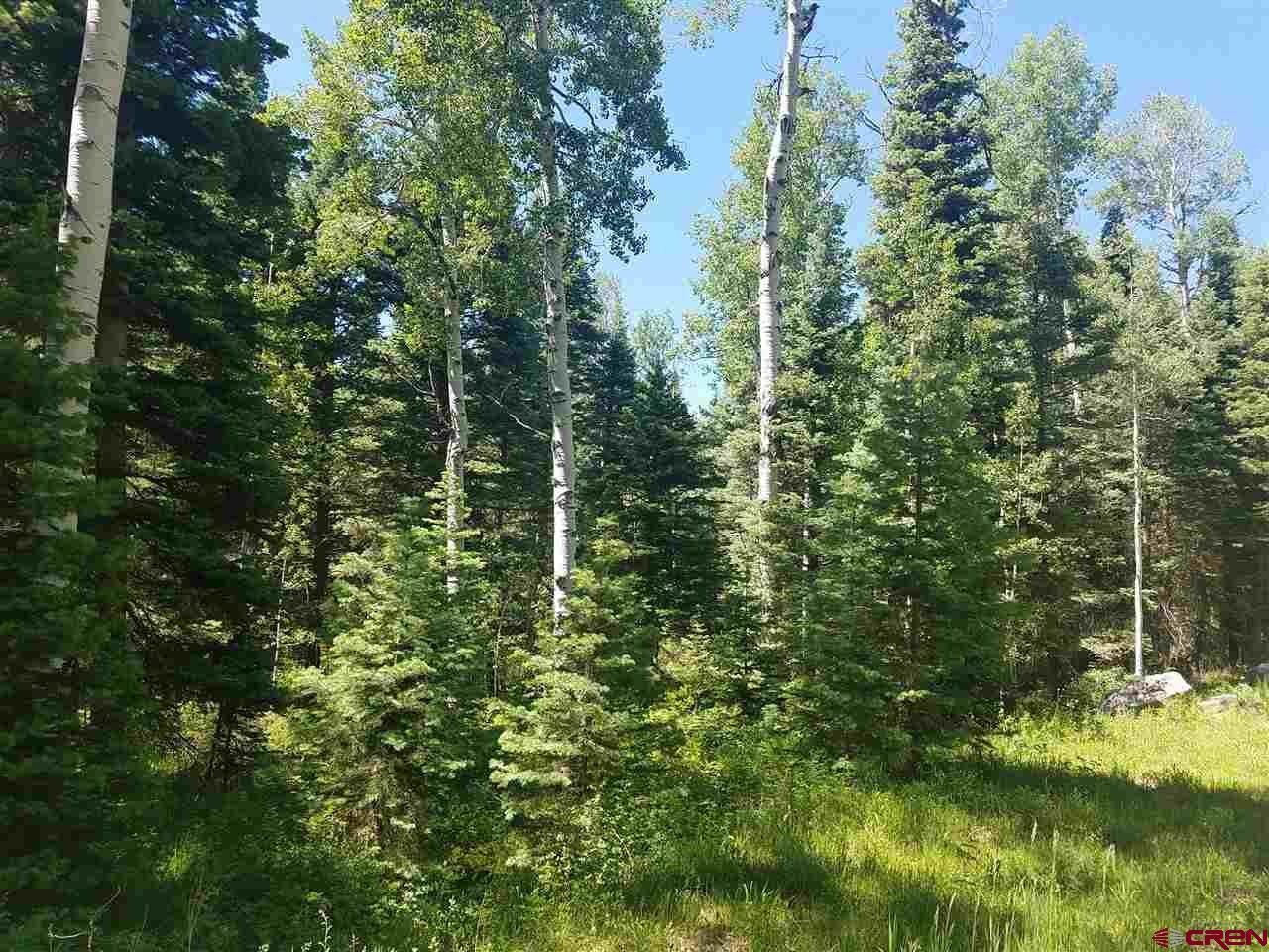 TBD Grizzly Lane - Photo 1