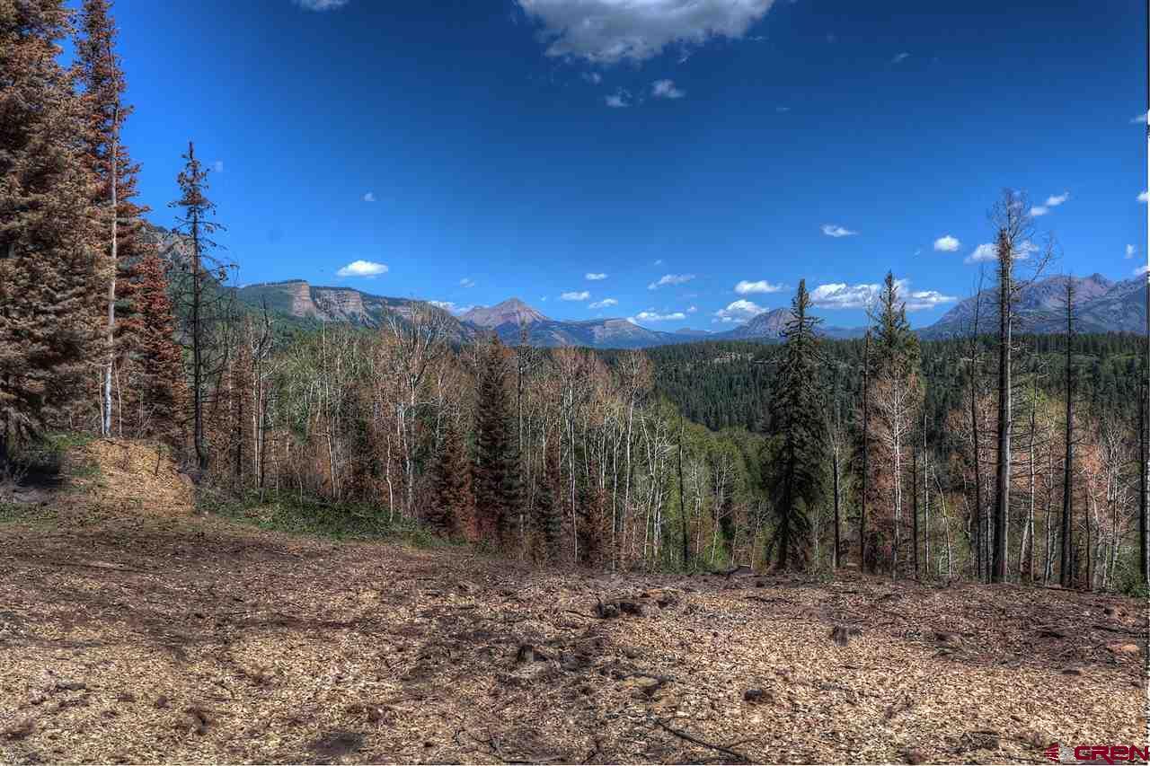 41563 Hwy 550 North - Photo 1